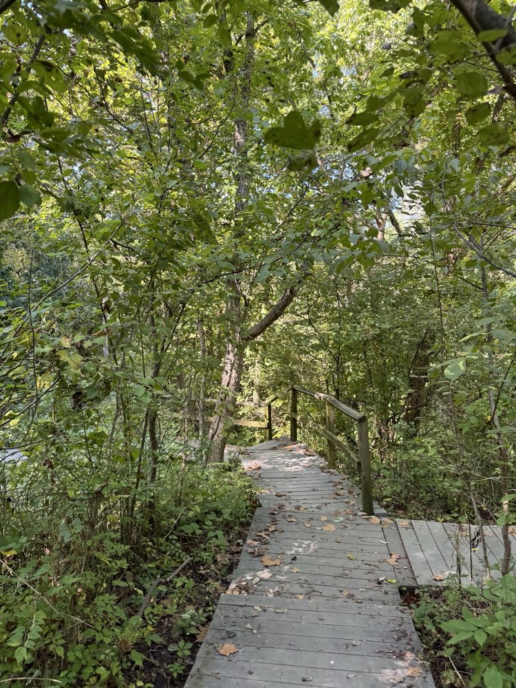 Social spots from Parkville Nature Sanctuary