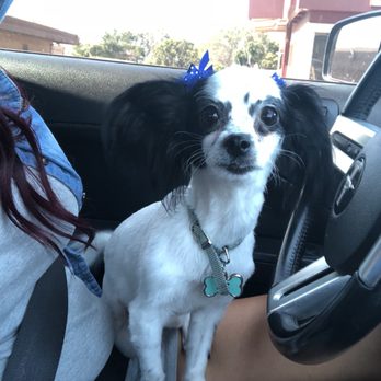 The Paw Spa - Pet Groomers Near Me - Corona, California The Paw Spa - Pet Groomers Near Me - Corona, California