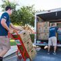 Island Boys Movers