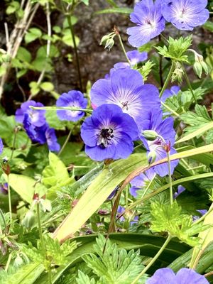 Glenveagh National Park by null