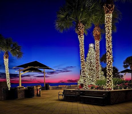 St Simons Island Pier by null
