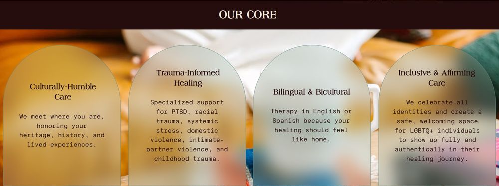 Shaya Psychotherapy - grief counselor in Houston, TX