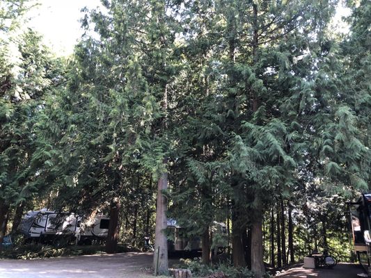 Tall Chief RV Campground by null