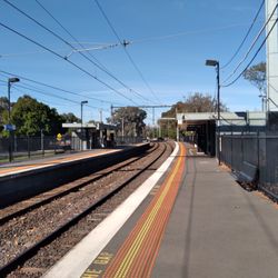 Tooronga - Platform