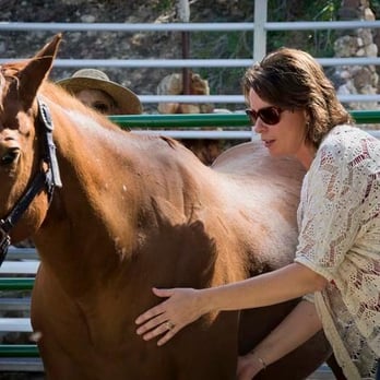 Dewey Wellness Center - Tanya not only works with people, but also small and large animals. - Chiropractors Near Me - Dewey, Arizona