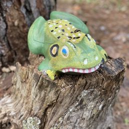 Hidden Frogs Hidden Frogs