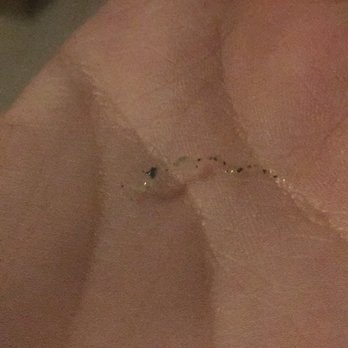 McDonald's - a tiny insect on a person's hand - Fast Food Near Me - Gaithersburg, Maryland