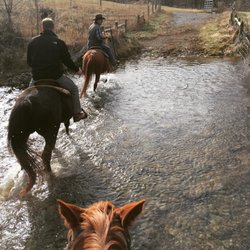 Star B Stables - The trail we rode on covered a lot of ground through the woods, past an old farmhouse, through a creek, and on hilltops with gorgeous views