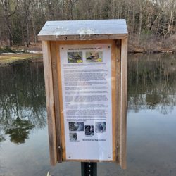 Town Forest Park