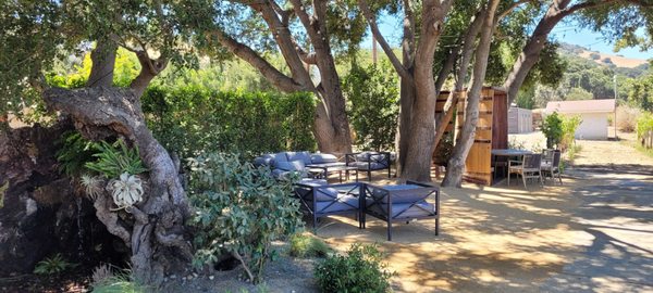 Vega Vineyard and Farm by null