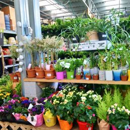 Time for Flowers! Time for Flowers!