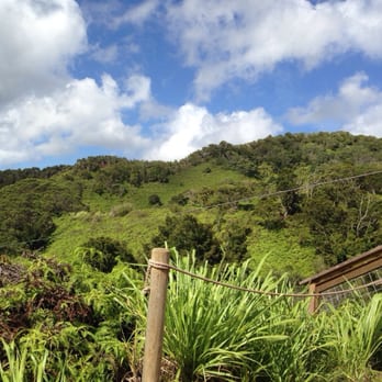 Shaka Zipline - Ziplining Near Me - Koloa, Hawaii Shaka Zipline - Ziplining Near Me - Koloa, Hawaii