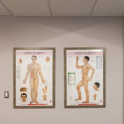 Guang Xu, LAc, OMD, Ph.D - Acupuncture & Wellness
