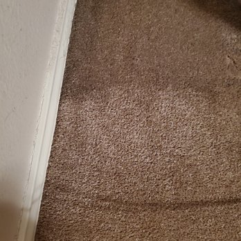 S W A T Steam Cleaning - I spot cleaned the bottom half of the picture to compare what SWAT "cleaned" in the top half. Edit caption - Carpet Cleaning Near Me