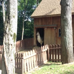 Camp Maranatha - Hey #lama!