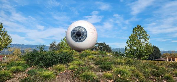 Raymond Vineyards by null