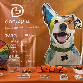 Dogtopia - Pet Boarding Near Me - Frisco, Texas