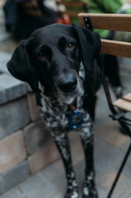 Madrone Wine & Cider Bar by null