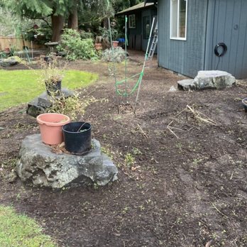 Gomez Landscaping - a garden with a potted plant on a rock - Landscaping Near Me Gomez Landscaping - a garden with a potted plant on a rock - Landscaping Near Me