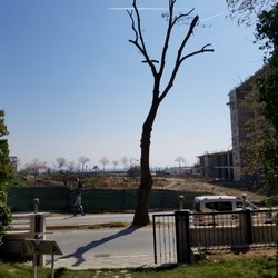 Ayazma Bahçe Cafe
