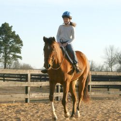 Southern Reins Center for Equine Therapy