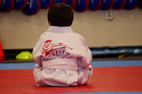 USTA Martial Arts-Lynden