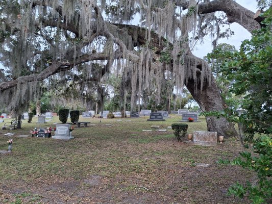 Greenwood Cemetery by null