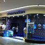 Photo of Cinemotion