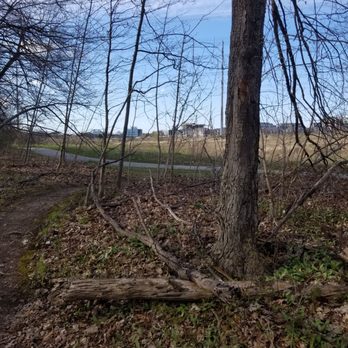 Huntington Park - Dog Parks Near Me - Markham, Ontario