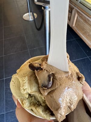 Amorino Gelato - London Camden by null