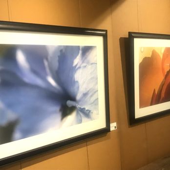 Riveting Frame & Design - Fine Art photo, Delphinium - Interior Design Near Me - Littleton, Colorado Riveting Frame & Design - Fine Art photo, Delphinium - Interior Design Near Me - Littleton, Colorado