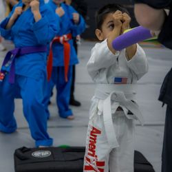 Amerikick