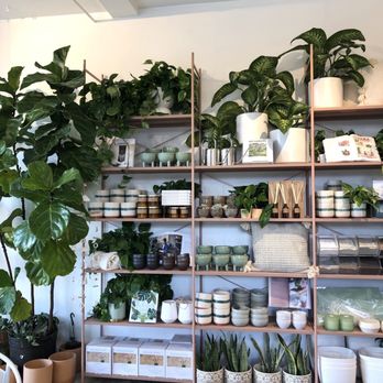 Pigment - Plant merch - Gift Shops Near Me - San Diego, California Pigment - Plant merch - Gift Shops Near Me - San Diego, California