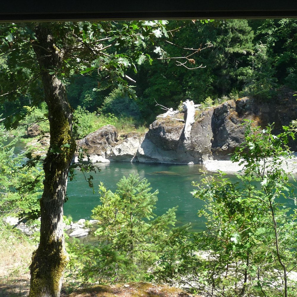 River Vista Vacation Homes - view from Madrone house - Guest Houses Near Me - Idleyld Park, Oregon River Vista Vacation Homes - view from Madrone house - Guest Houses Near Me - Idleyld Park, Oregon