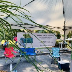 Richmond Hill Farmers’ Market