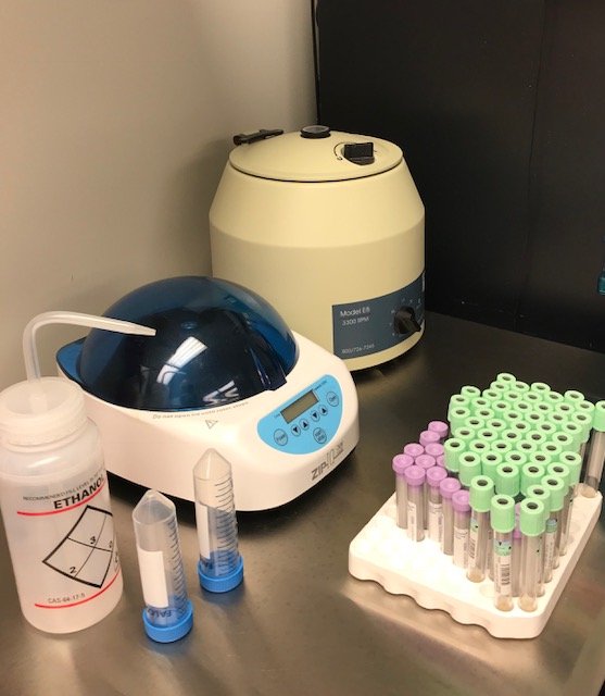 RESTORE LIFE USA - Updated February 2026 - 802 Buffalo St Ste 3A ...