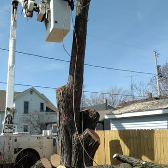 New Beginning Tree Service Company - Coming to the end - Tree Services Near Me - Pleasant Prairie, Wisconsin New Beginning Tree Service Company - Coming to the end - Tree Services Near Me - Pleasant Prairie, Wisconsin