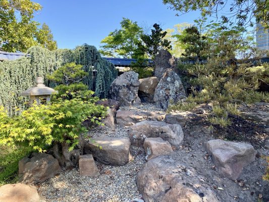 Bonsai Garden by null