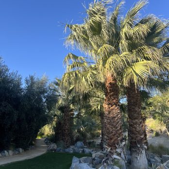 Two Bunch Palms - Property in Feb 2025 - Resorts Near Me - Desert Hot Springs, California Two Bunch Palms - Property in Feb 2025 - Resorts Near Me - Desert Hot Springs, California