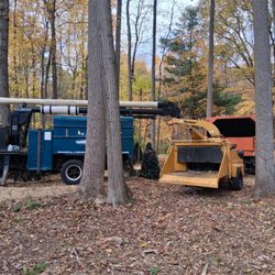 Eds Tree & landscaping - Woods clearing removing dead branches  and invasive plants