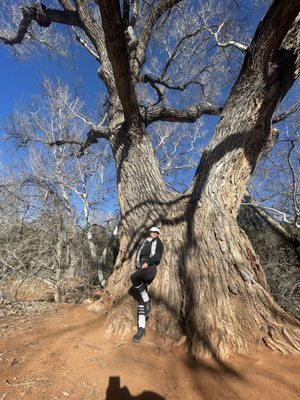 Red Rock State Park by null