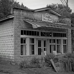 Willow Tree Grill