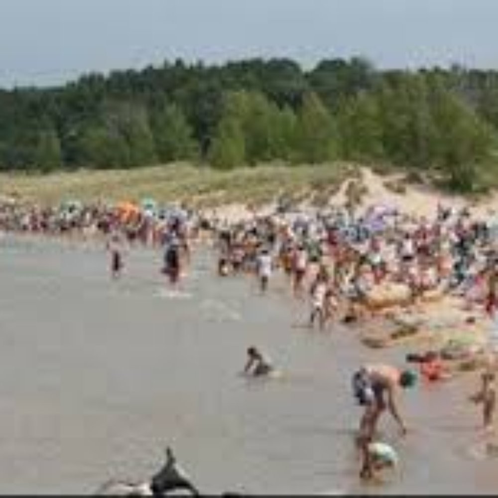 Charles Mears State Park - Beach - Beaches Near Me - Pentwater, Michigan