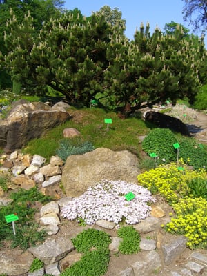 Botanical Garden of the University of Wrocław by null