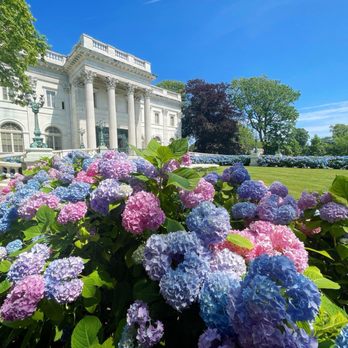 Marble House - Beautiful hydrangeas. So many! - Landmarks & Historical Buildings Near Me - Newport, Rhode Island