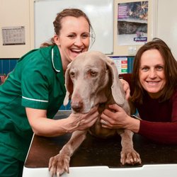 Ashworth Veterinary Group