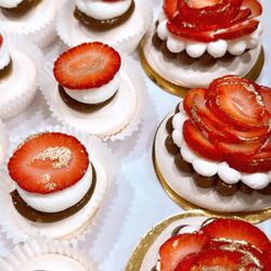 Pavlova House