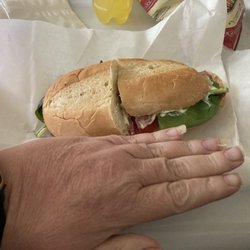 Topz Frozen Yogurt & Metro Deli - My $10 sandwich which is smaller than my small hand!