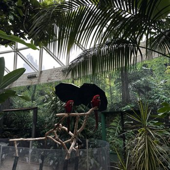 Bloedel Conservatory - Botanical Gardens Near Me - Vancouver, British Columbia