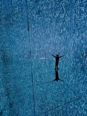 teamLab Borderless: MORI Building DIGITAL ART MUSEUM by null